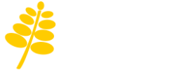 SPN Logo